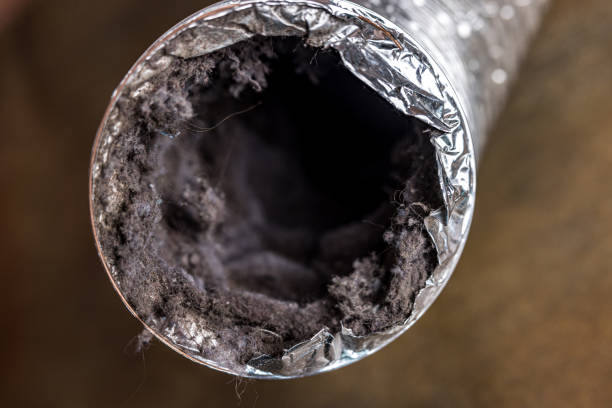 Best Air Duct Cleaning Near Me  in Gretna, FL